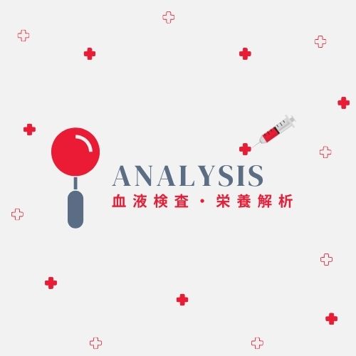 血液検査・栄養解析