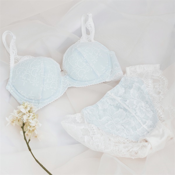 BIJIN BUST C70 レースブラジャー 美人バスト｜公式オンラインストア BBランジェリー シリーズ
