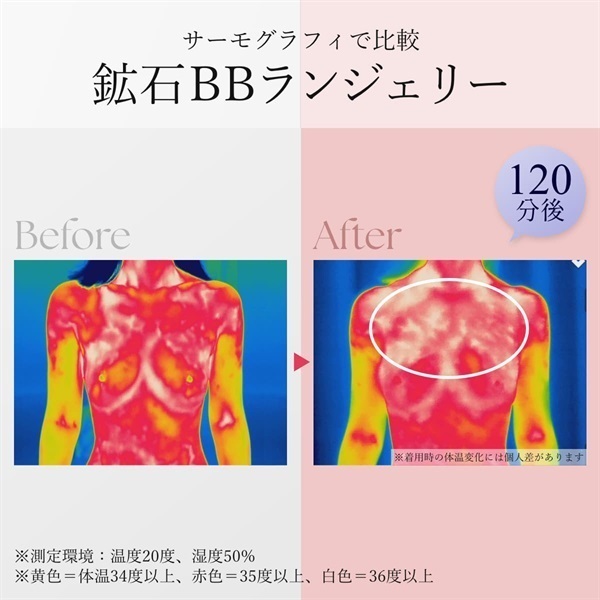美人バスト｜公式オンラインストア ページタイトル